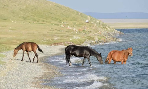 From Issyk-Kul to Aksu Hot Springs