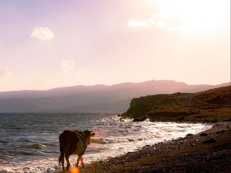 Chon-Kemin - Song-Kul Lake